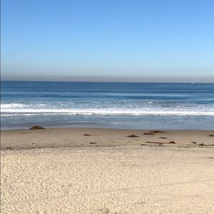 Meet your Posher, Molly